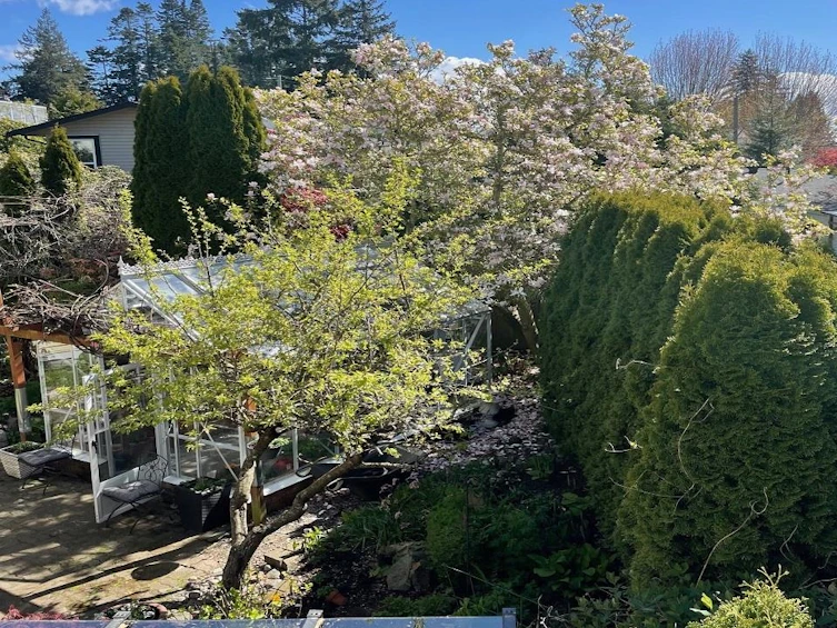 1408 129a Street, Surrey, BC, V4A 3Y7 - 13