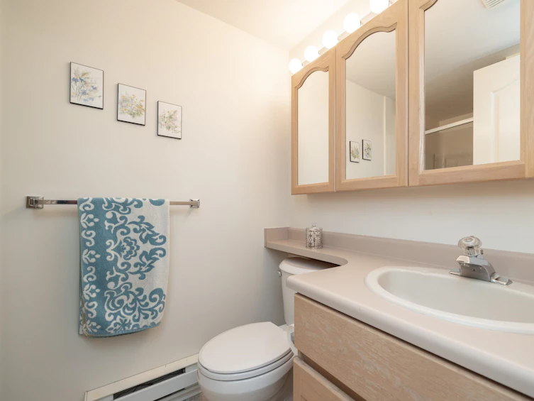 25-3110 Trafalgar, Abbotsford, BC, V2S 7X7 - 15