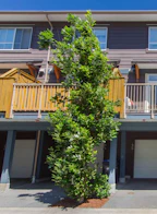 45 1188 Wilson Crescent
