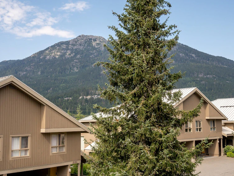 3119 St. Moritz Crescent, Whistler, BC, V8E 0V8 - 23