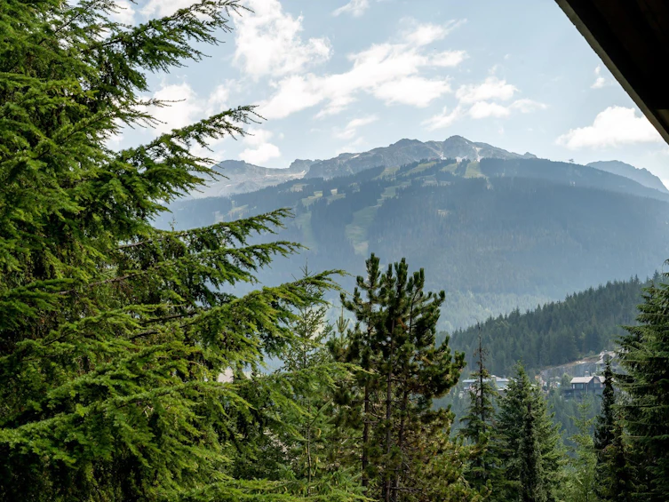 3119 St. Moritz Crescent, Whistler, BC, V8E 0V8 - 24