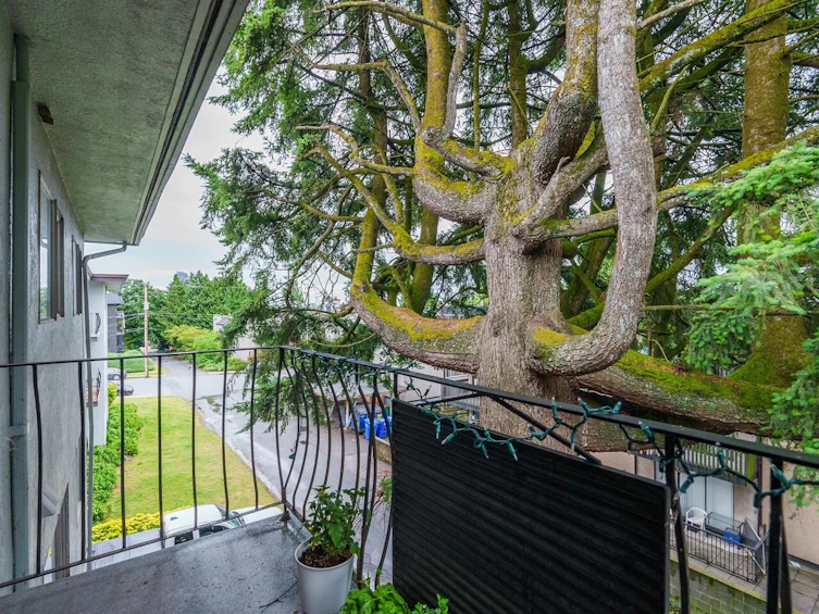 314-611 Blackford Street, New Westminster, BC, V3M 1R7 - 17