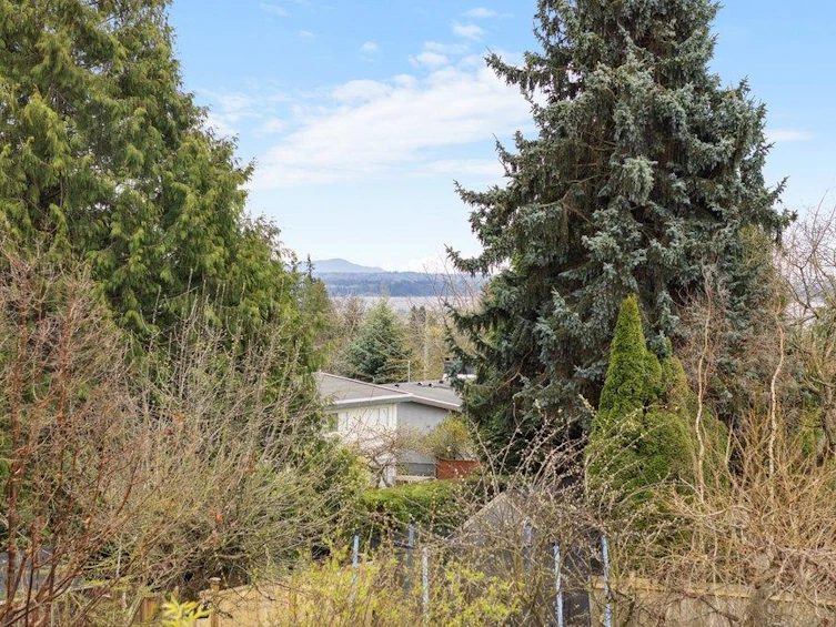 1196 Habgood Street, Surrey, BC, V4B 4W9 - 33