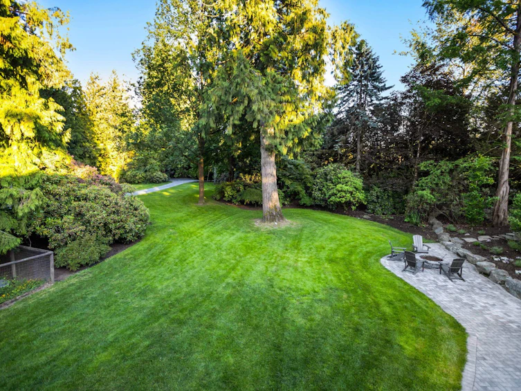 25149 72 Avenue, Langley, BC, V4W 1J1 - 36