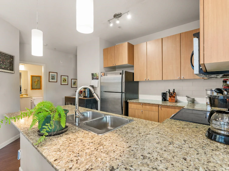 207-2477 Kelly Avenue, Port Coquitlam, BC, V3C 0B3 - 10