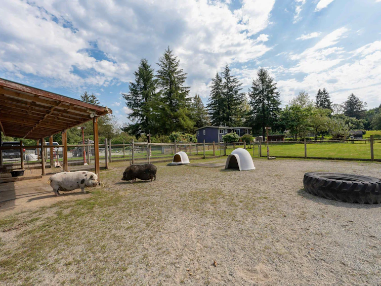 10069 276 Street, Maple Ridge, BC, V2W 1R3 - 35