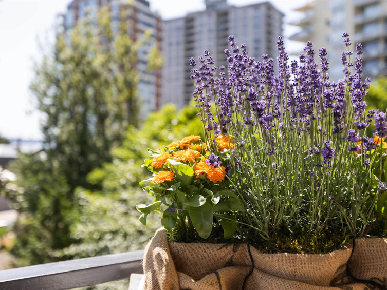 503-1930 Marine Drive, West Vancouver, BC, V7V 1J8 - 29