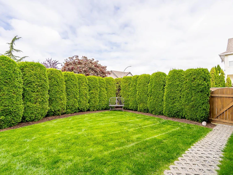 21207 83 Avenue, Langley, BC, V2Y 0C2 - 33