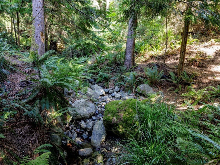 687 Windjammer Road, Bowen Island, BC, V0N 1G2 - 38