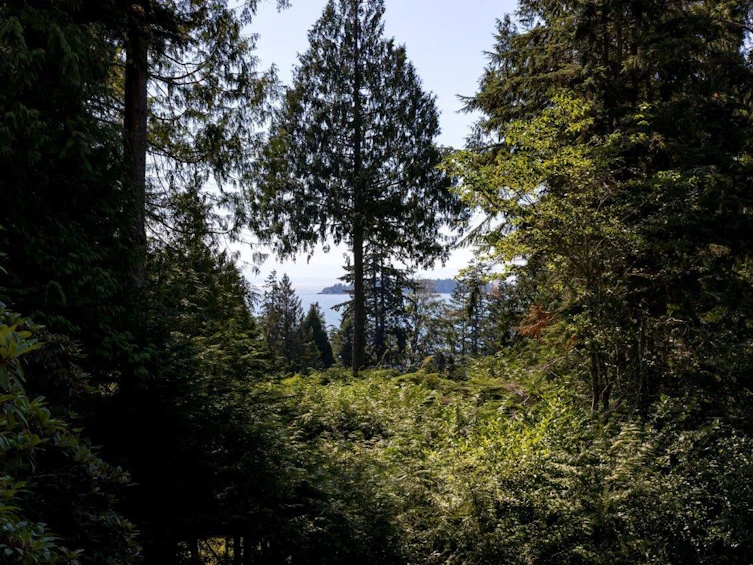687 Windjammer Road, Bowen Island, BC, V0N 1G2 - 5