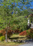 41707 Honey Lane