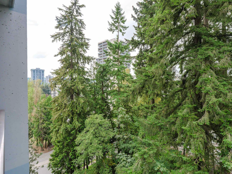 1006-9541 Erickson Drive, Burnaby, BC, V3J 7N8 - 22