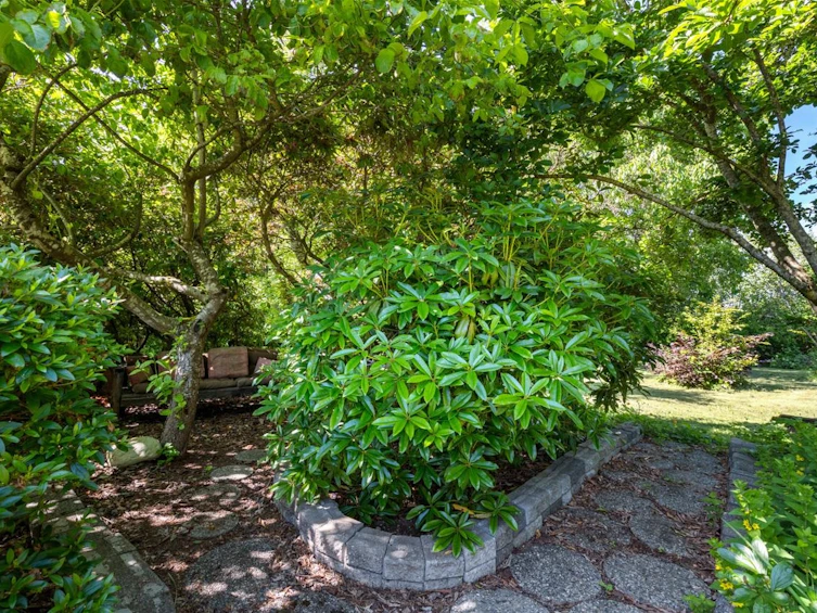 16881 31 Avenue, Surrey, BC, V3S 0A6 - 25