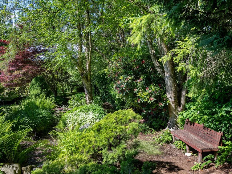 16881 31 Avenue, Surrey, BC, V3S 0A6 - 38