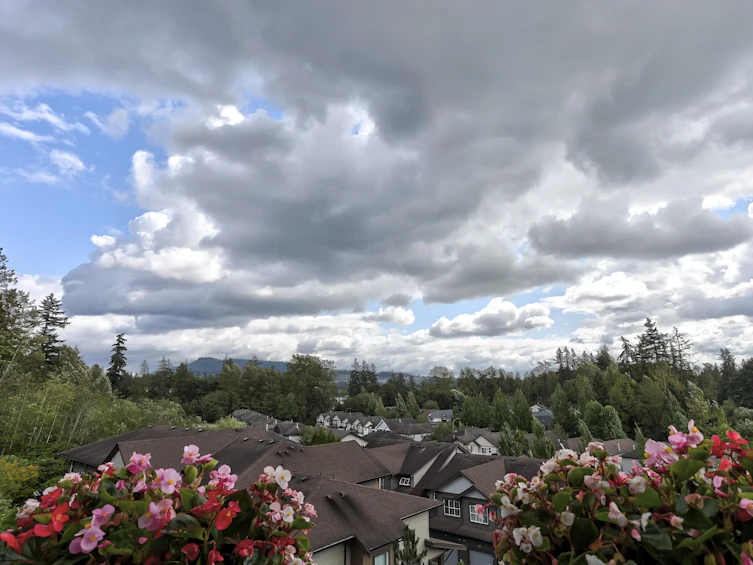 24-11176 Gilker Hill Road, Maple Ridge, BC, V2W 0G5 - 11