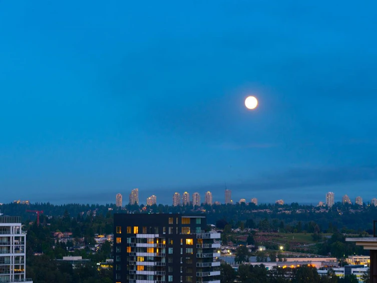 2603-2088 Madison Avenue, Burnaby, BC, V5C 6T5 - 29