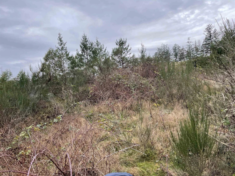 LOT 15-4622 Sinclair Bay Road, Pender Harbour Egmont, BC, V0N 1S1 - 13
