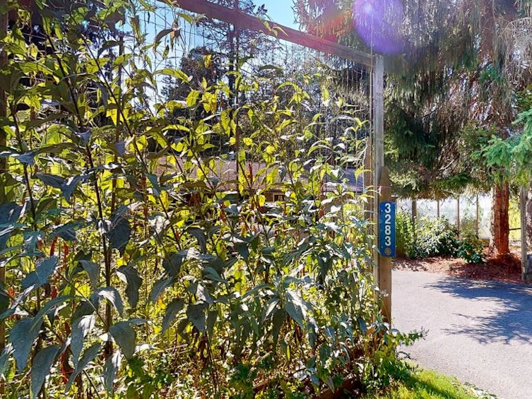 3283 Kraus Road, Roberts Creek, BC, V0N 2W2 - 2
