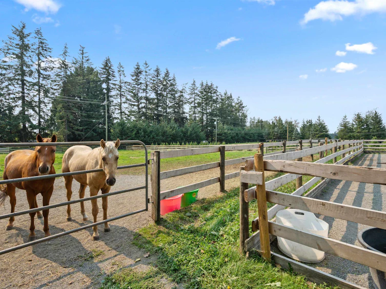 27495 16 Avenue, Langley, BC, V4W 2S6 - 22