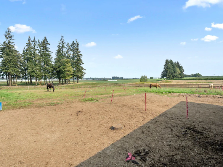 27495 16 Avenue, Langley, BC, V4W 2S6 - 25