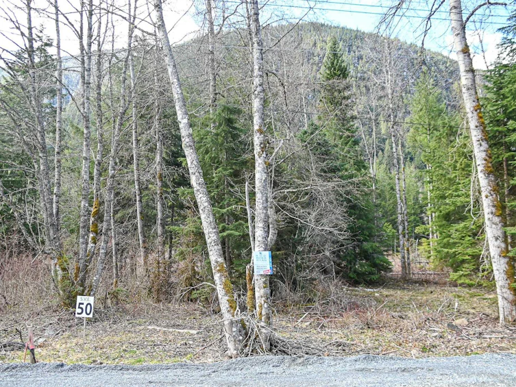 SVE50 Old Hope Princeton Highway, Hope, BC, V0X 1L5 - 3