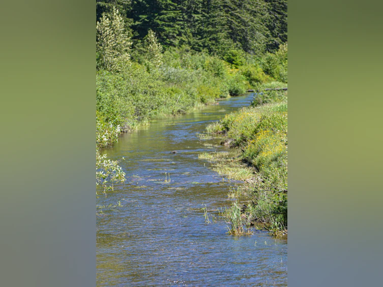 SVE50 Old Hope Princeton Highway, Hope, BC, V0X 1L5 - 13