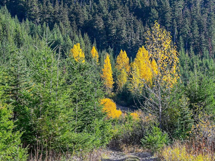 SVE50 Old Hope Princeton Highway, Hope, BC, V0X 1L5 - 19
