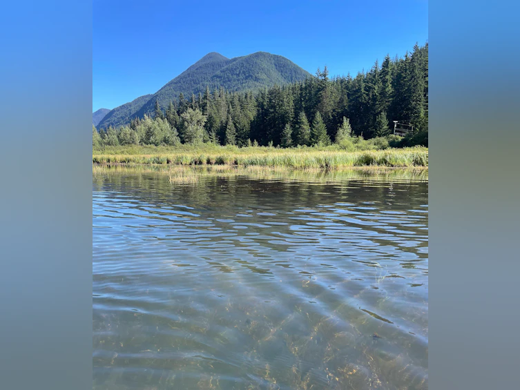 SVE51 Old Hope Princeton Highway, Hope, BC, V0X 1L5 - 11