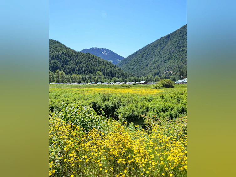 SVE51 Old Hope Princeton Highway, Hope, BC, V0X 1L5 - 23