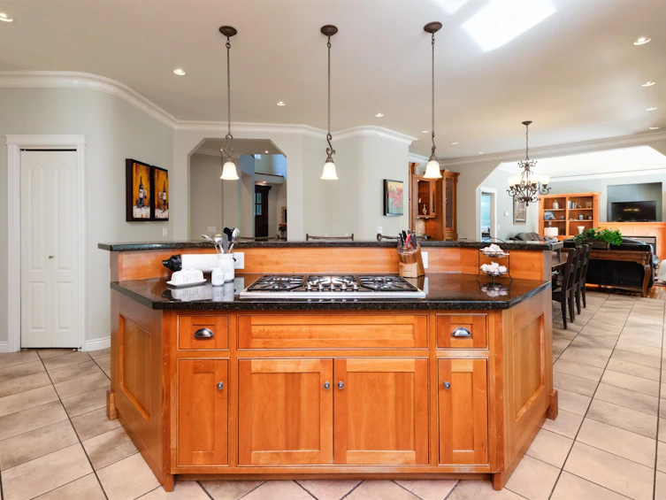 1125 Mountain Ayre Lane, Port Moody, BC, V3H 4X9 - 7