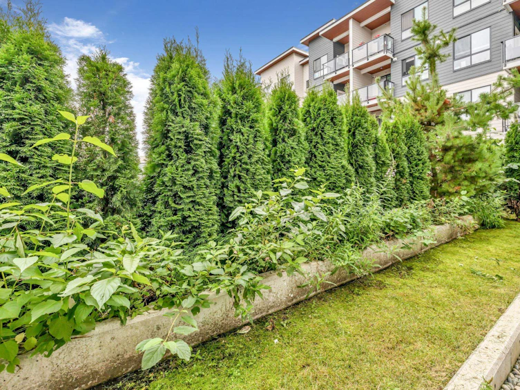114-20362 72b, Langley, BC, V2Y 5K4 - 24