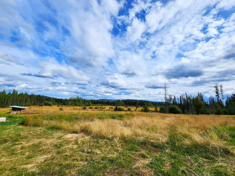 9247 Nazko Road, Quesnel, BC, V2J 3H9 - 17