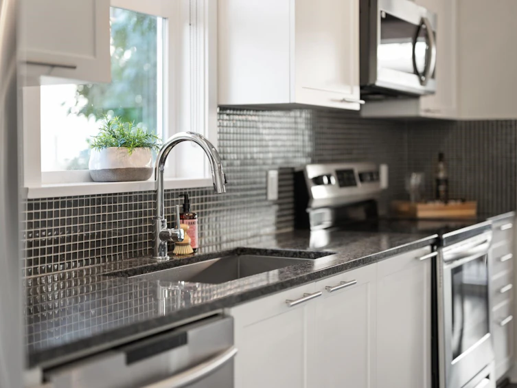 15-16223 23a, Surrey, BC, V3Z 6P4 - 17