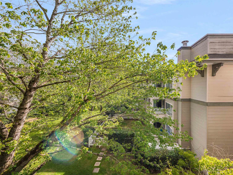 310-8880 Jones Road, Richmond, BC, V6Y 3Z1 - 18