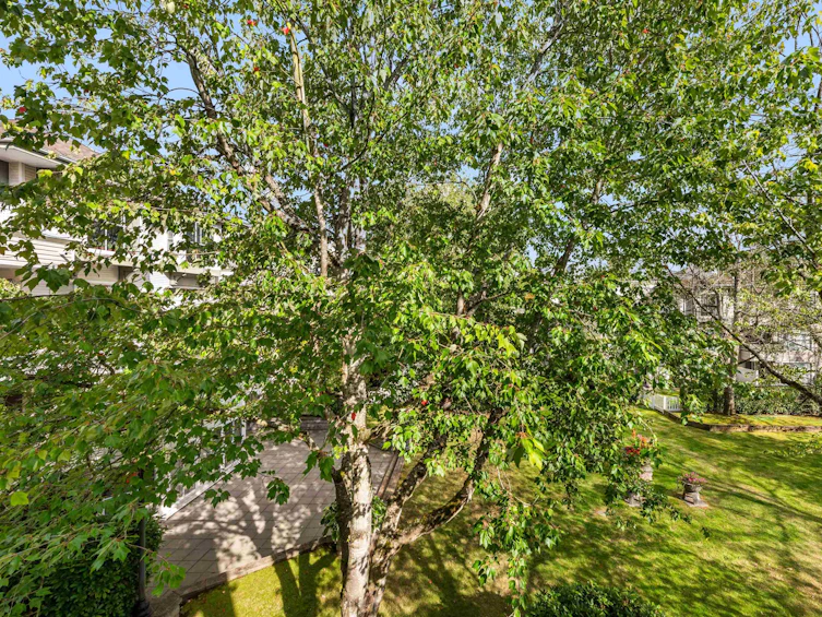 310-8880 Jones Road, Richmond, BC, V6Y 3Z1 - 19