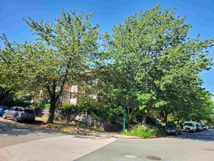 340-588 E 5th Avenue, Vancouver, BC, V5T 4H6 - 40