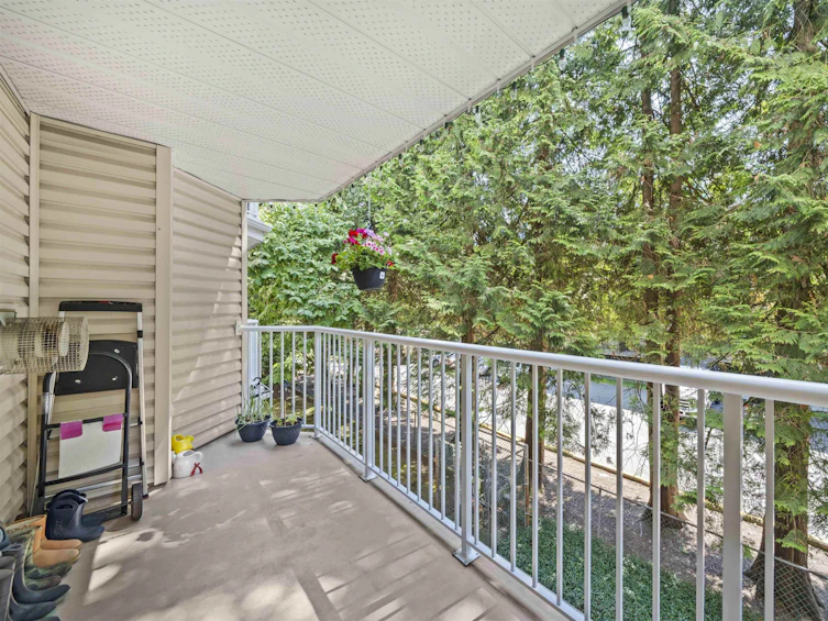 12206 224 Street, Maple Ridge, BC, V2X 6B8 - 15