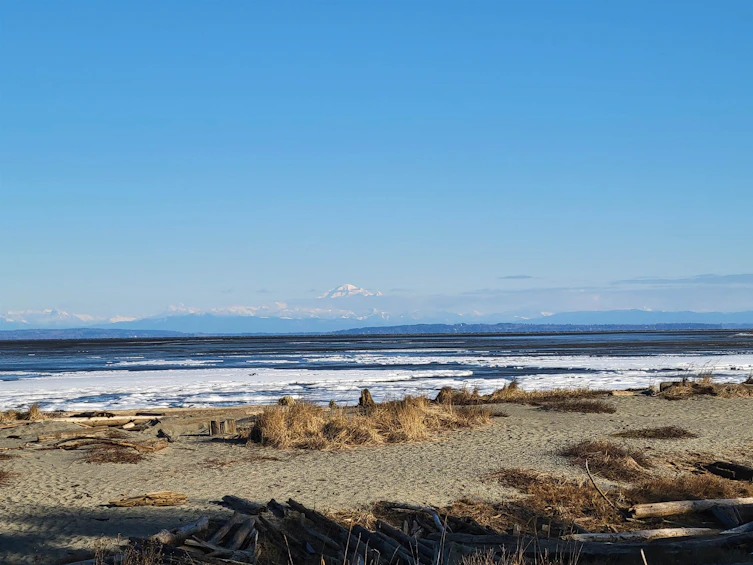 1356 Beach Grove Road, Delta, BC, V4L 1N6 - 28