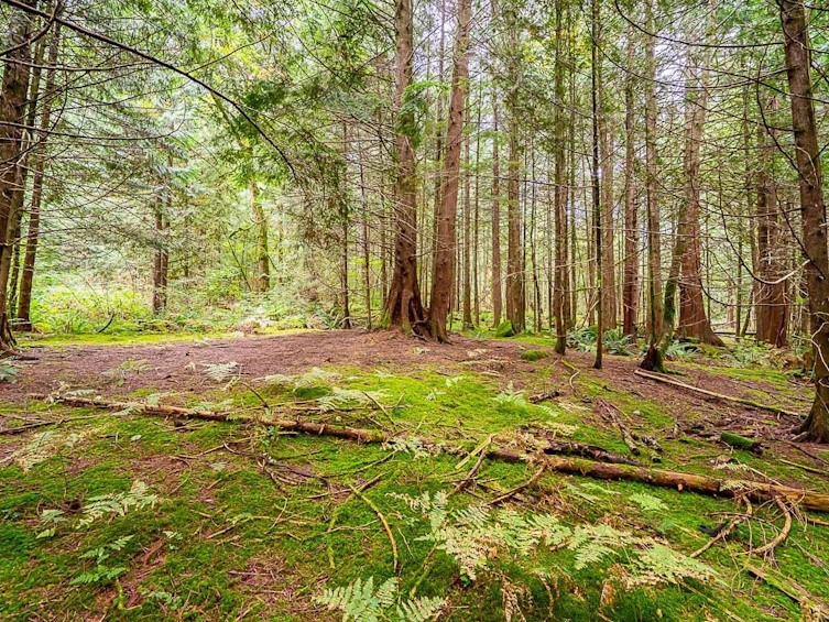 12181 Stave Lake Road, Mission, BC, V2V 4J1 - 13