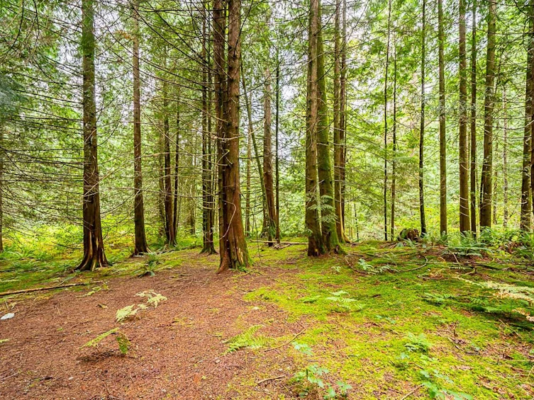 12181 Stave Lake Road, Mission, BC, V2V 4J1 - 15