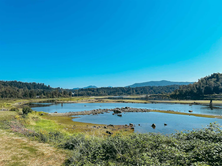 59-9950 Wilson, Mission, BC, V4S 1B3 - 4