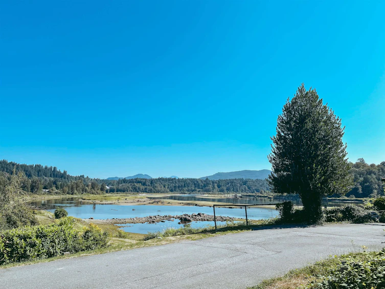 59-9950 Wilson, Mission, BC, V4S 1B3 - 5