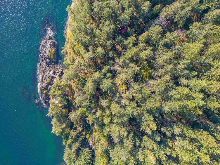 381 Waterfront, Bowen Island, BC, V0N 1G2 - 6