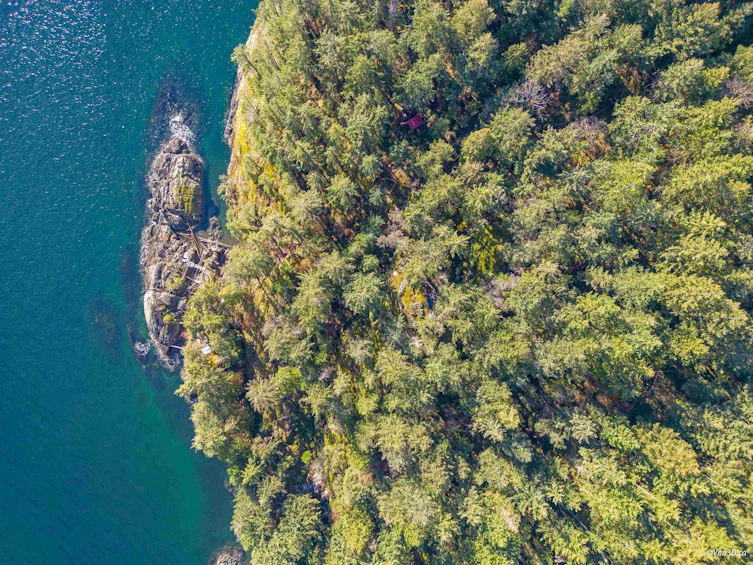 381 Waterfront, Bowen Island, BC, V0N 1G2 - 7