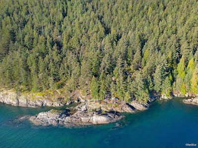 381 Waterfront - 3