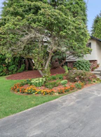 7788 114a Street