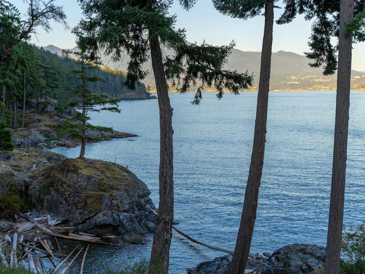 239 Shore Lane, Bowen Island, BC, V0N 1G2 - 11