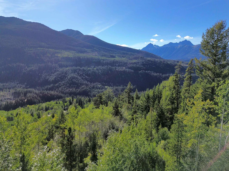 555 Eaglridge Drive, Pemberton, BC, V0K 1P0 - 11