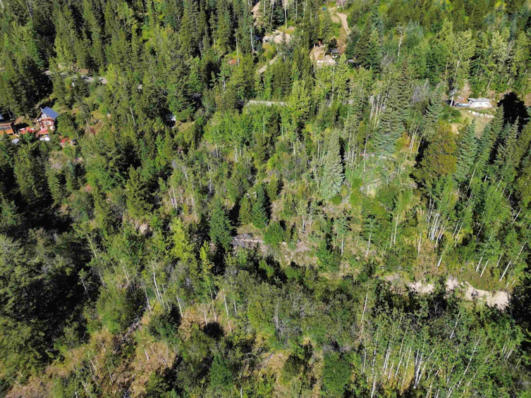 555 Eaglridge Drive, Pemberton, BC, V0K 1P0 - 28