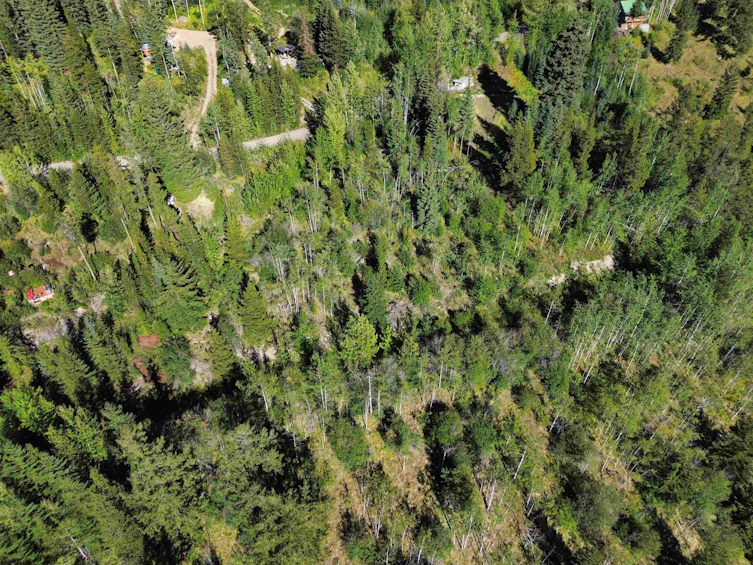 555 Eaglridge Drive, Pemberton, BC, V0K 1P0 - 31